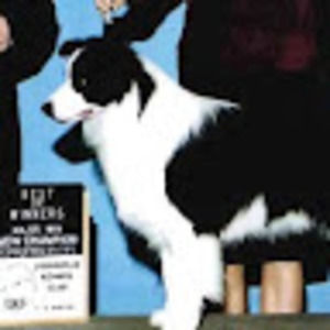 Meet your Posher, Barbara